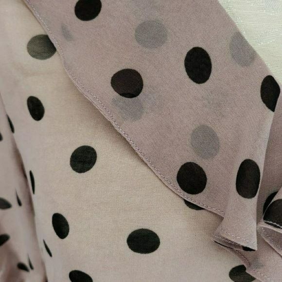 Darling Sheer polka dot medium button down Blouse - Picture 4 of 7